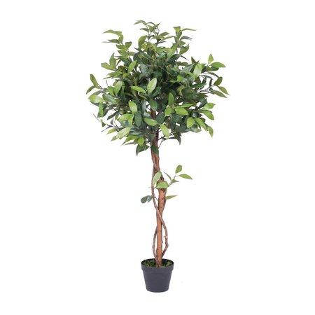 DARE2DECOR Camellia Everyday Tree in Pot - 50 in. DA946209